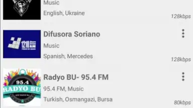 Capture d'écran de Radio FM 2