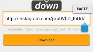 Capture d'écran de Video Downloader for Instagram 6