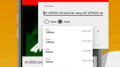 Capture d'écran de Fast Youtube Downloader 7