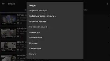 Capture d'écran de Video App for VK 9