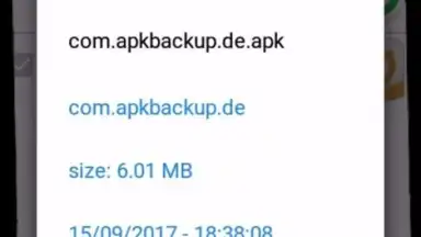 Capture d'écran de APK Backup(Pro) 3