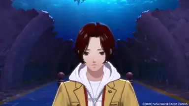 Capture d'écran de 女神异闻录：夜幕魅影 7