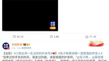 Capture d'écran de Weibo 8