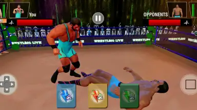 Capture d'écran de Tag Team Wrestling Games: Mega Cage Ring Fighting 5