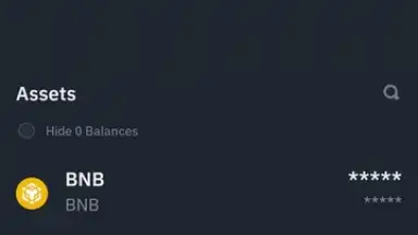 Capture d'écran de Binance 13