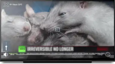 Capture d'écran de KgTv Player - IPTV Player 13