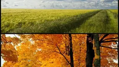 Capture d'écran de Samsung Photo Editor 3