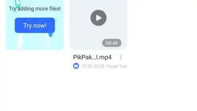 Capture d'écran de PikPak 1