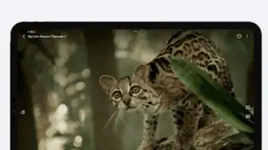Capture d'écran de VidHub 15