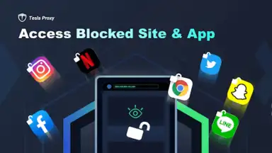 Capture d'écran de Tesla Proxy 3