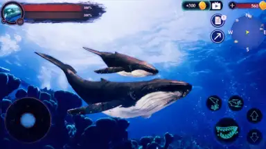 Capture d'écran de The Humpback Whales 3