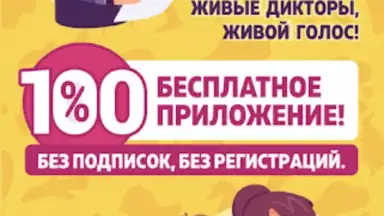 Capture d'écran de Английский для Начинающих 7