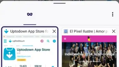 Capture d'écran de Tor Browser 26