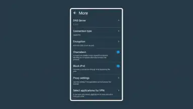 Capture d'écran de hidemy.name VPN 1