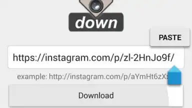 Capture d'écran de Video Downloader for Instagram 4