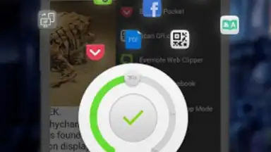 Capture d'écran de Next Browser 1