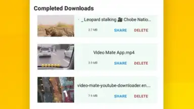 Capture d'écran de Vidora YouTube Downloader | free & fast 12