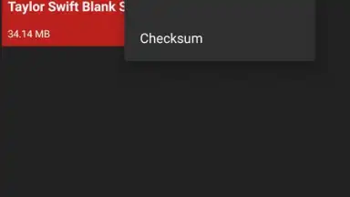 Capture d'écran de YouTube Video Mp3 Downloader 11