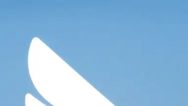 Capture d'écran de DingTalk 1