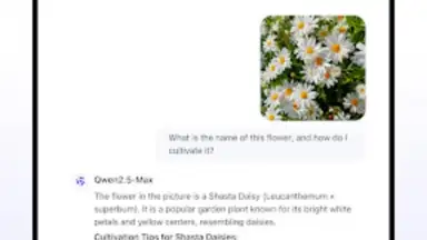 Capture d'écran de Qwen Chat 3