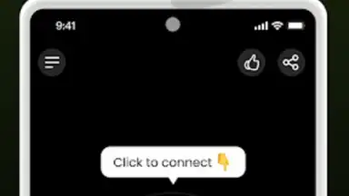 Capture d'écran de Bear VPN 4
