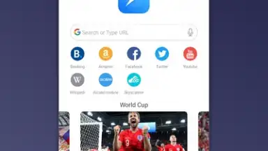 Capture d'écran de Mini Private Browser: Fast Search, Download, No Ad 4