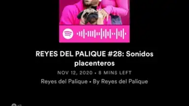 Capture d'écran de Spotify 18