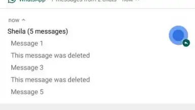 Capture d'écran de WhatsRemoved 9