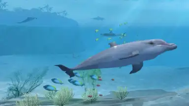 Capture d'écran de Sharks VR 1