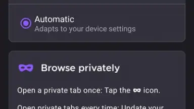 Capture d'écran de Iceraven Browser 4