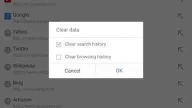 Capture d'écran de Mola Browser 6