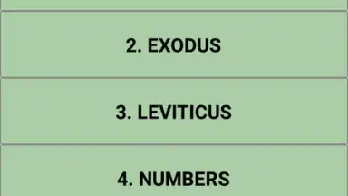 Capture d'écran de The bible quiz game 4