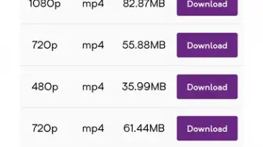 Capture d'écran de YT Video Downloader 1