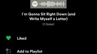Capture d'écran de Spotify 22