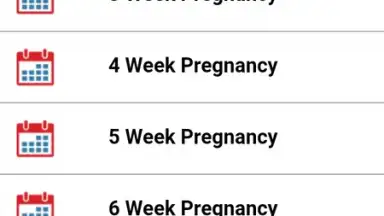 Capture d'écran de Pregnancy Weekly 2