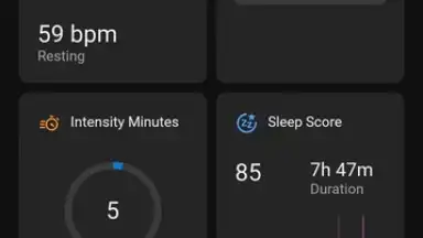 Capture d'écran de Garmin Connect 3