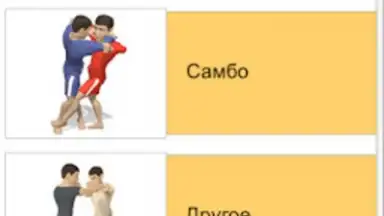Capture d'écran de ПрофПриёмы 3Д ММА 5
