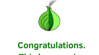 Capture d'écran de Orfox: Tor Browser 10