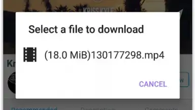 Capture d'écran de VIP Video downloader 4