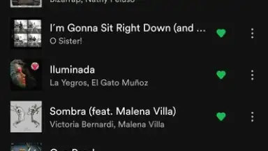 Capture d'écran de Spotify 17