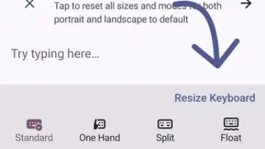 Capture d'écran de FUTO Keyboard 7
