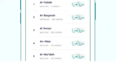Capture d'écran de The Holy Quran - English 4