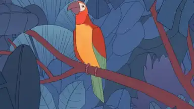 Capture d'écran de Bird Alone 6