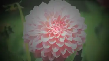Capture d'écran de After Effect 7