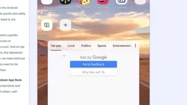 Capture d'écran de Opera Browser 5