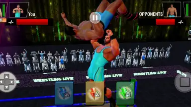 Capture d'écran de Tag Team Wrestling Games: Mega Cage Ring Fighting 4