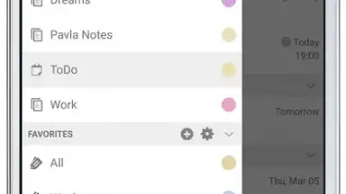 Capture d'écran de Tasks & Notes 12