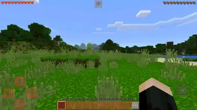 Capture d'écran de King Craft 1