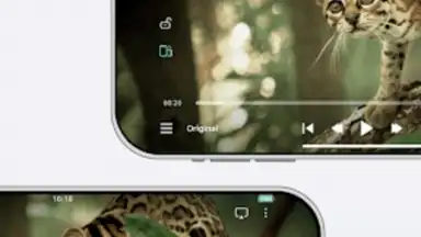 Capture d'écran de VidHub 6