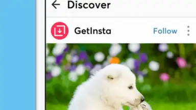 Capture d'écran de GetInsta - FREE download Instagram videos & Repost 7